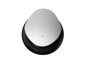 Ebo SE (8).png